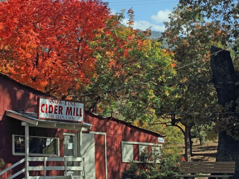 Picture of SNOW-LINE ORCHARD