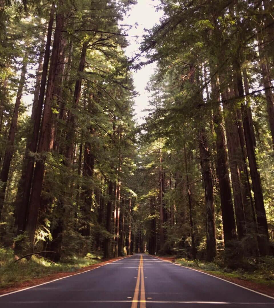 Picture of Visit Mendocino County