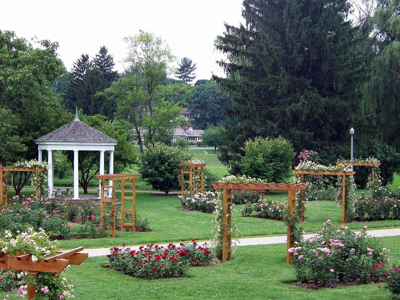 Picture of Malcolm Gross Rose Garden