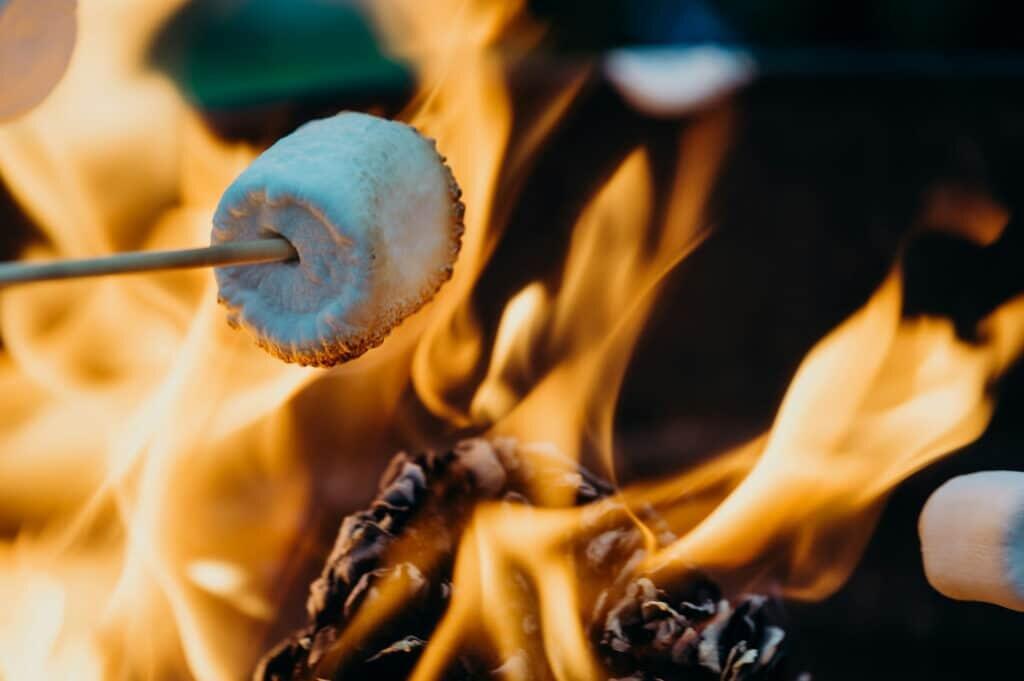 Picture of Bonfire & Smores