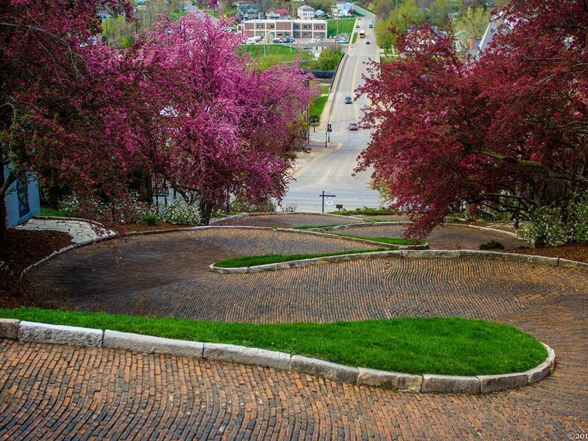 Picture of Snake Alley