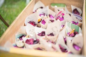 Rose Petals Wrapped in Piano Music