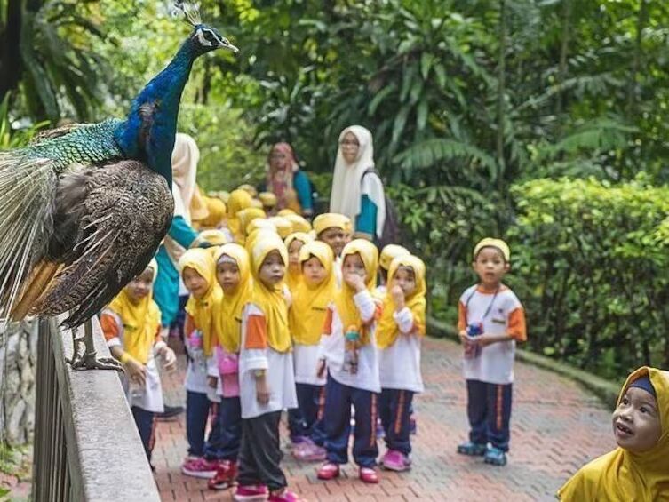 Picture of KL Bird Park