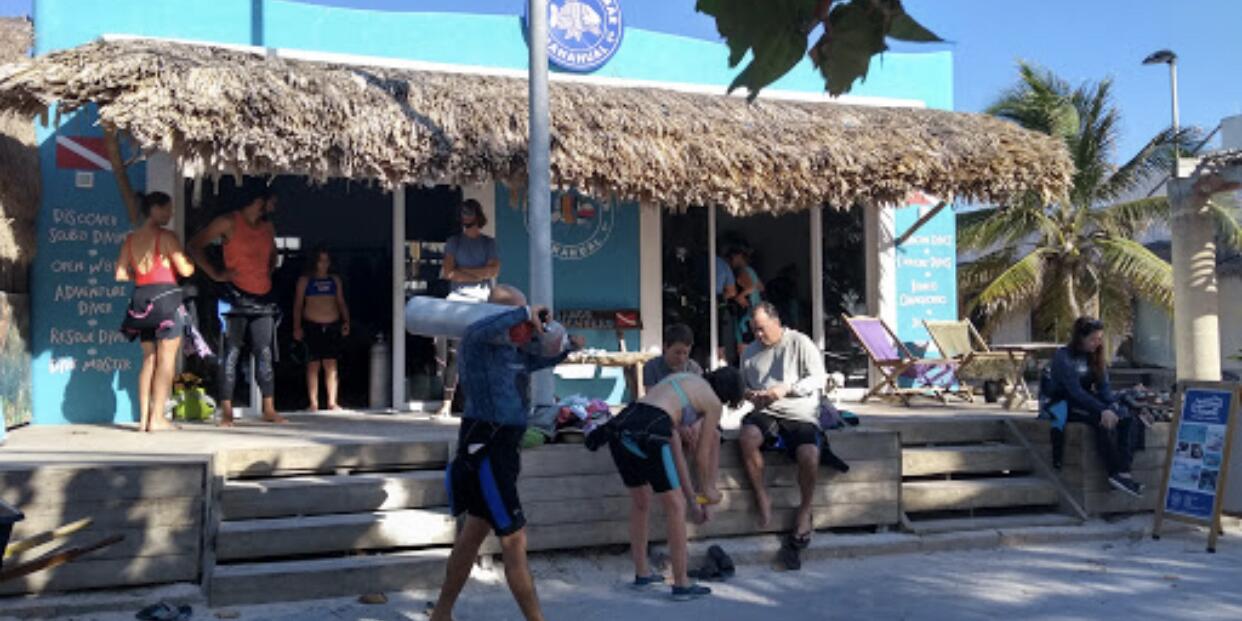 Picture of Amigos Del Mar