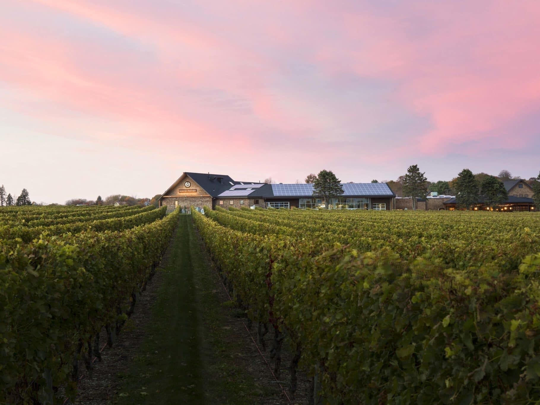 Picture of Newport Vineyards