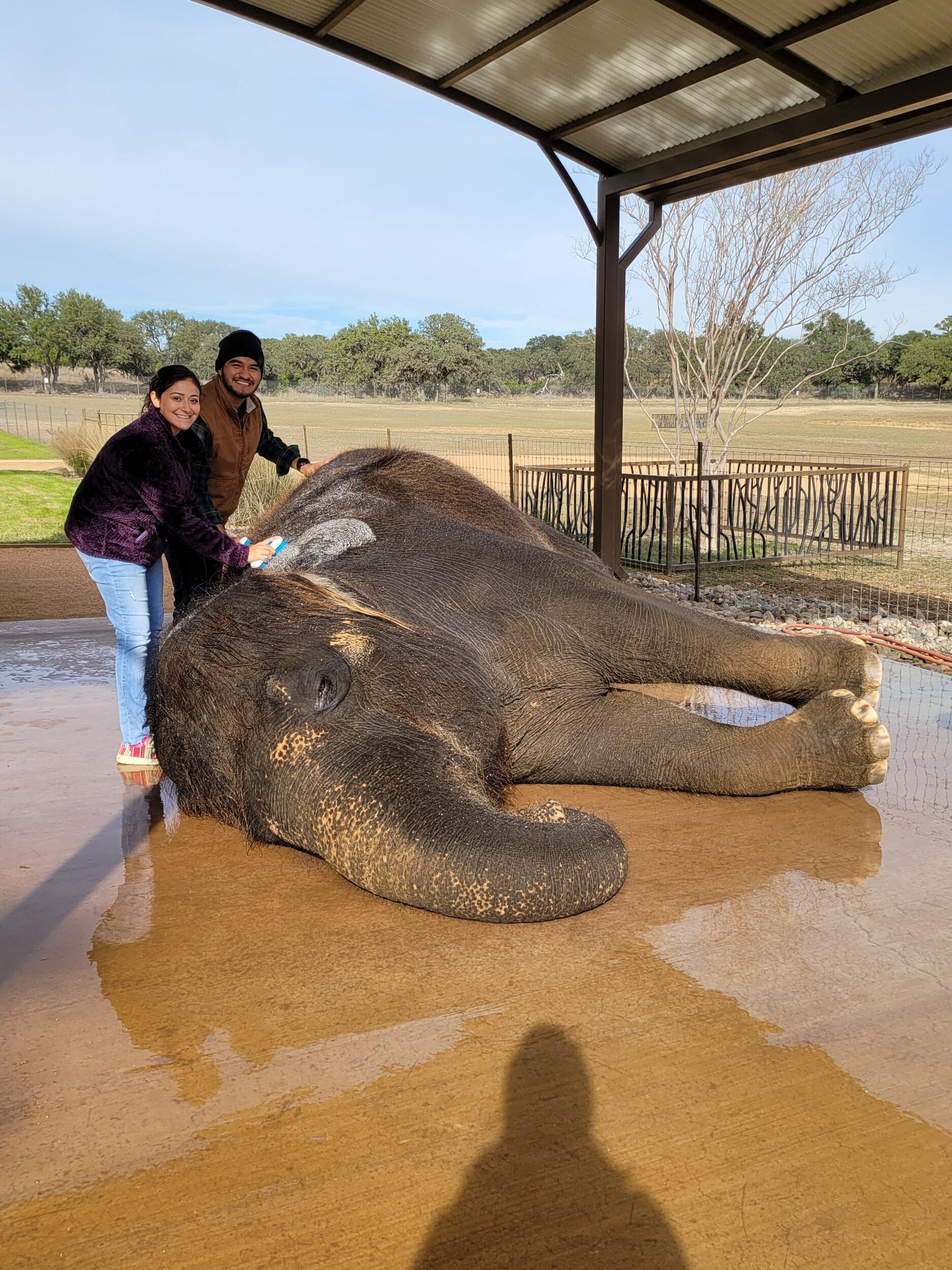 We spent our 5-year anniversary in Fredericksburg and went to an elephant sanctuary!! I got to wash an elephant! oh and Mateo was there too :)