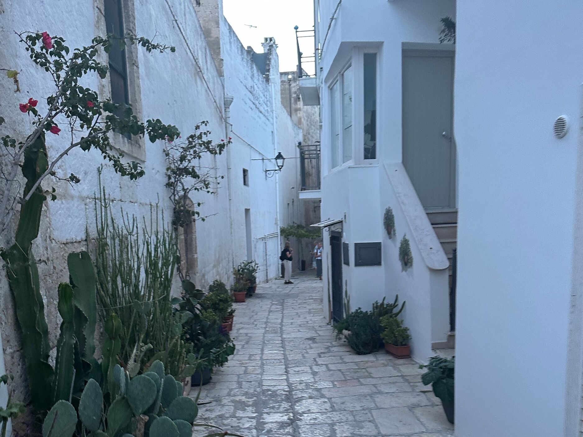 Picture of Ostuni