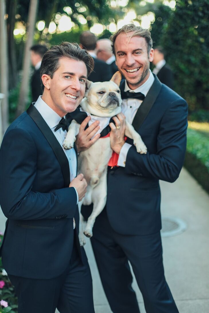 Two grooms in coordinating, Midnight-blue tuxedos and bow ties holding their cream-colored French Bulldog posing after their elegant, classic ceremony at their "Big Gay Wedding."