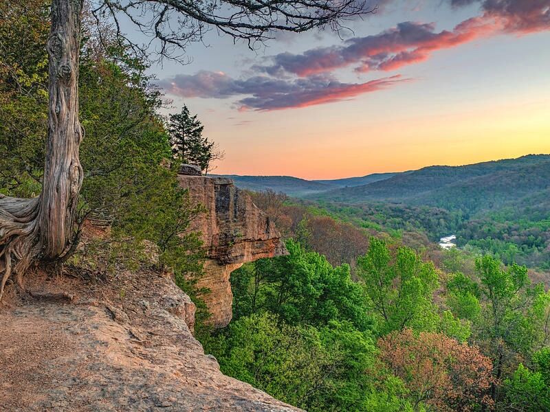 Picture of Devil's Den State Park