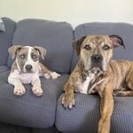 Calvin & Georgia Hassler