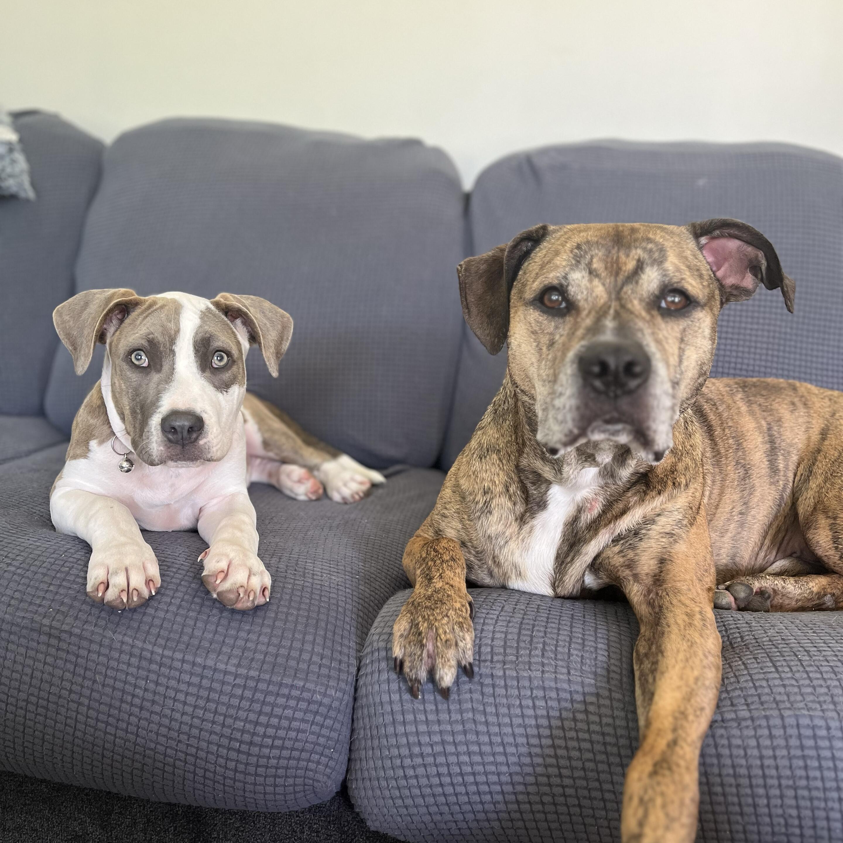 Calvin & Georgia Hassler