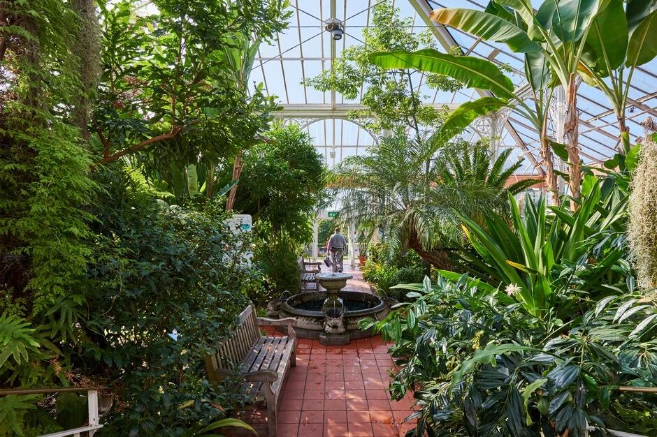 Picture of Birmingham Botanical Gardens