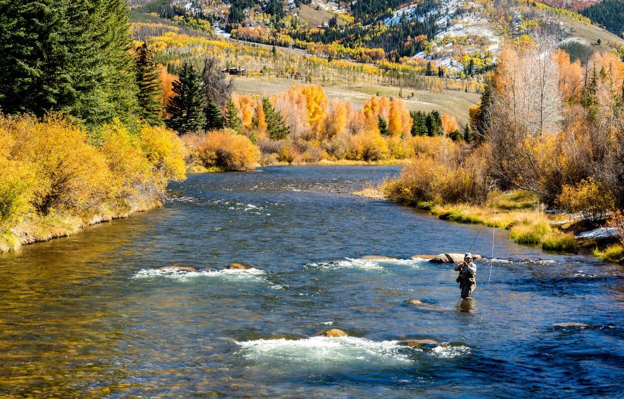 Picture of Liarflies-Colorado Fly Fishing Adventures