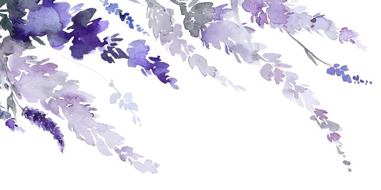 Vanessa & David Home Page Banner