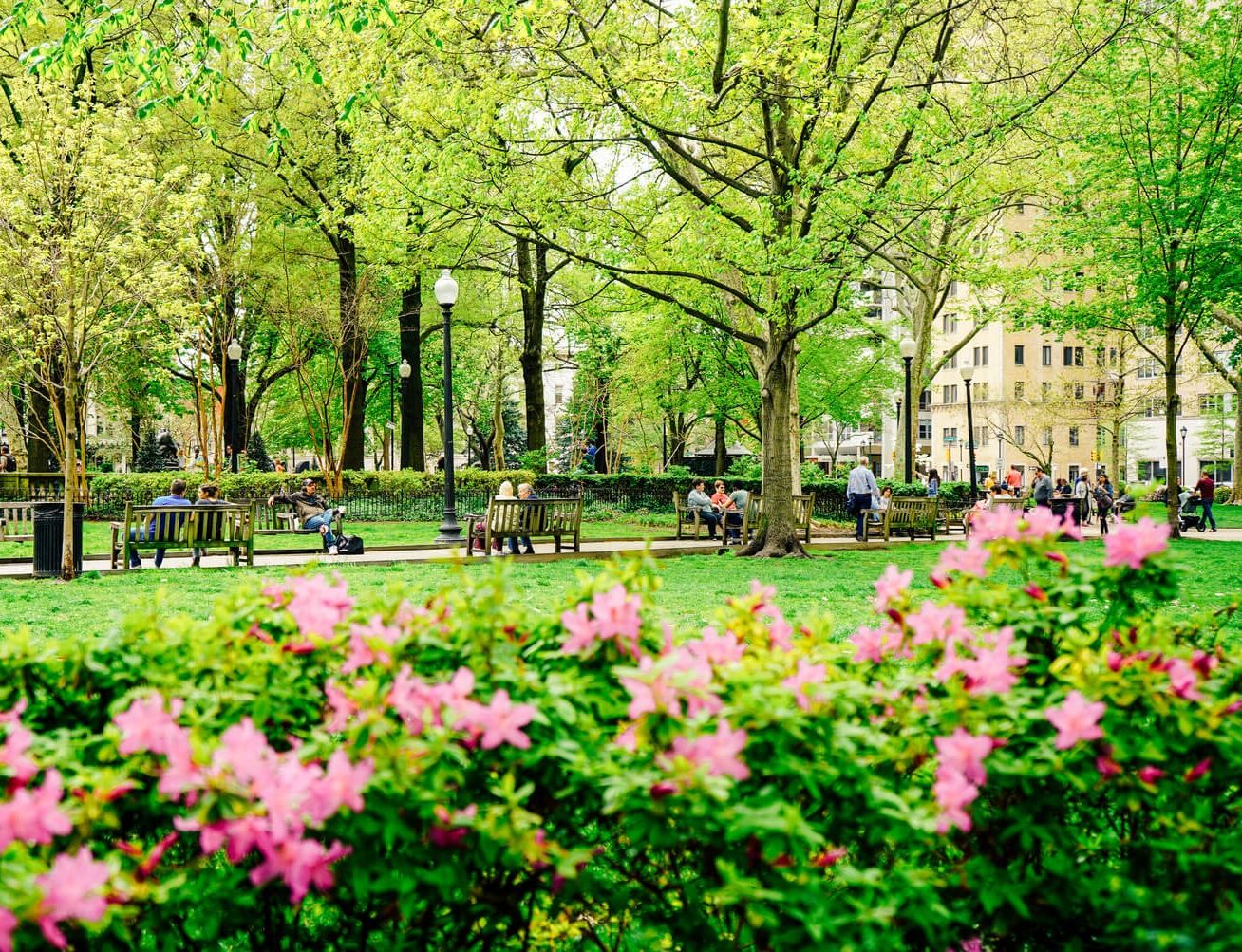 Picture of Rittenhouse Square