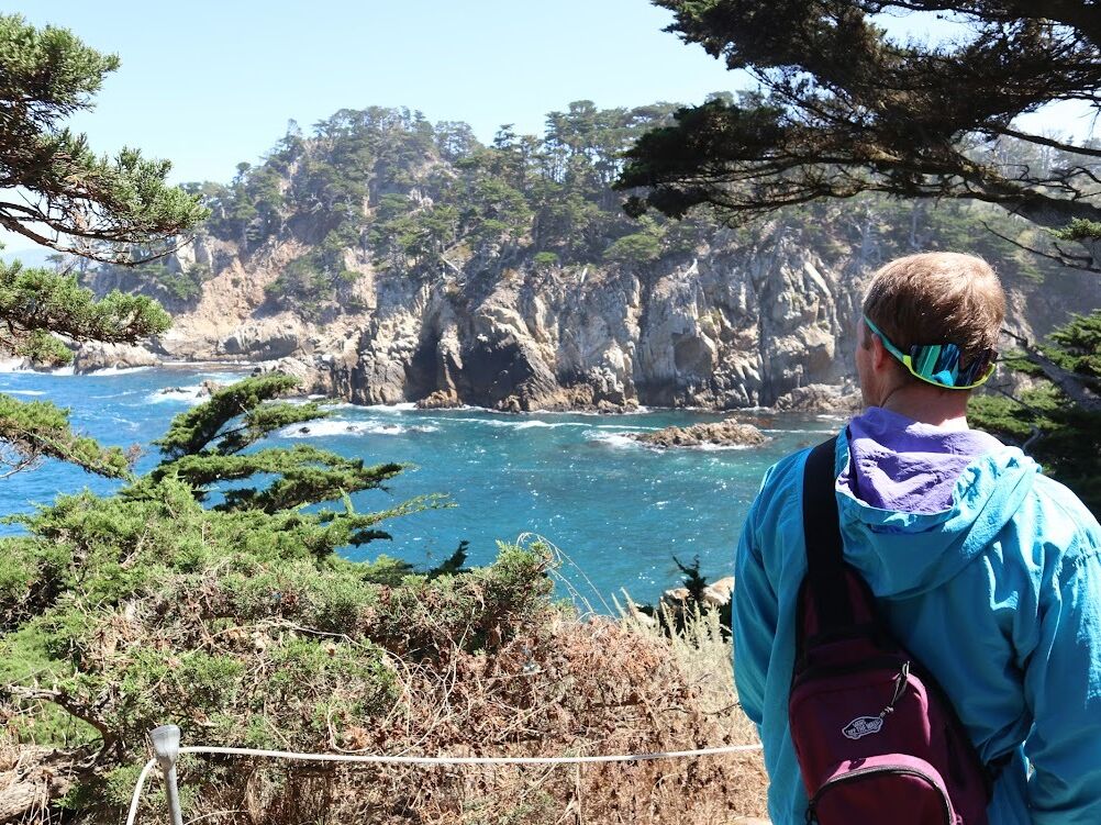 Picture of Point Lobos State Natural Reserve