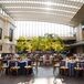 The reception took place inside the Cleveland Museum of Art's atrium, where natural light poured in through the large windows. This created a feeling of being outside, which seemed perfect for the garden-inspired theme that Bryan and Jackie brought to life.