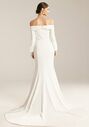 AW Bridal AW Eveleen Wedding Dress A-Line Wedding Dress - thumbnail - 3