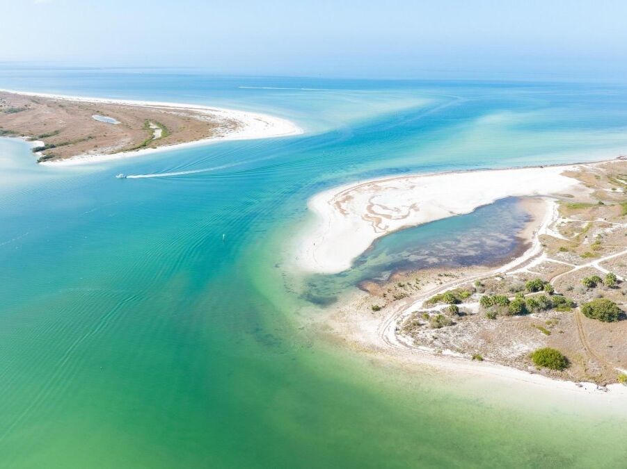 Picture of Honeymoon Island State Park