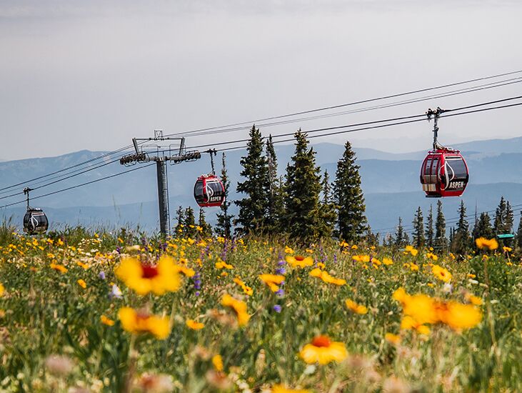 Picture of Snowmass, CO