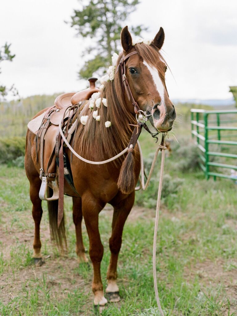 Horse with flowers in his mane
