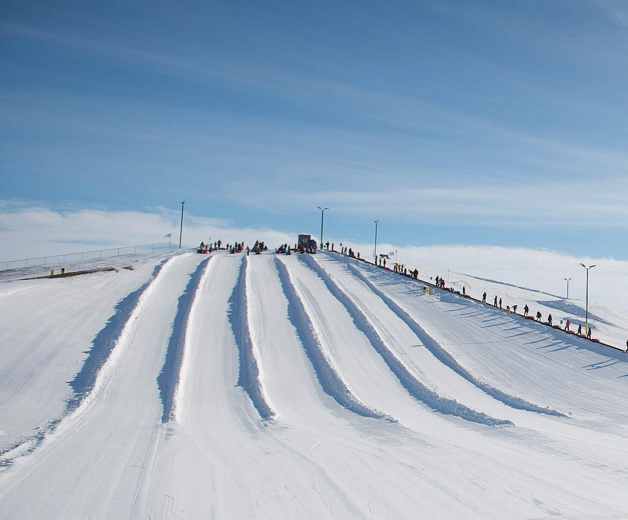 Picture of Optimist Hill