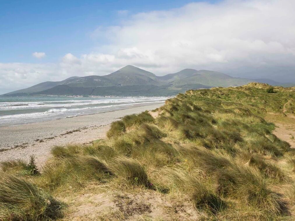 Picture of National Trust - Murlough National Nature Reserve