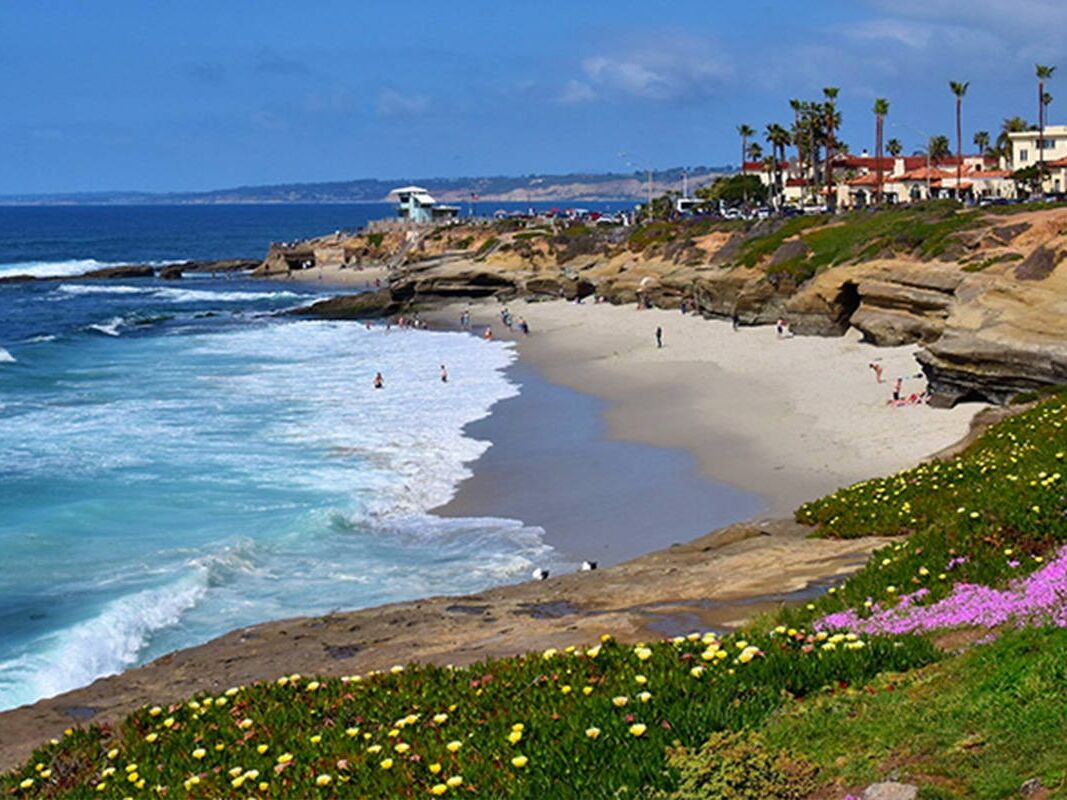 Picture of La Jolla Cove