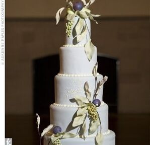 The Cake