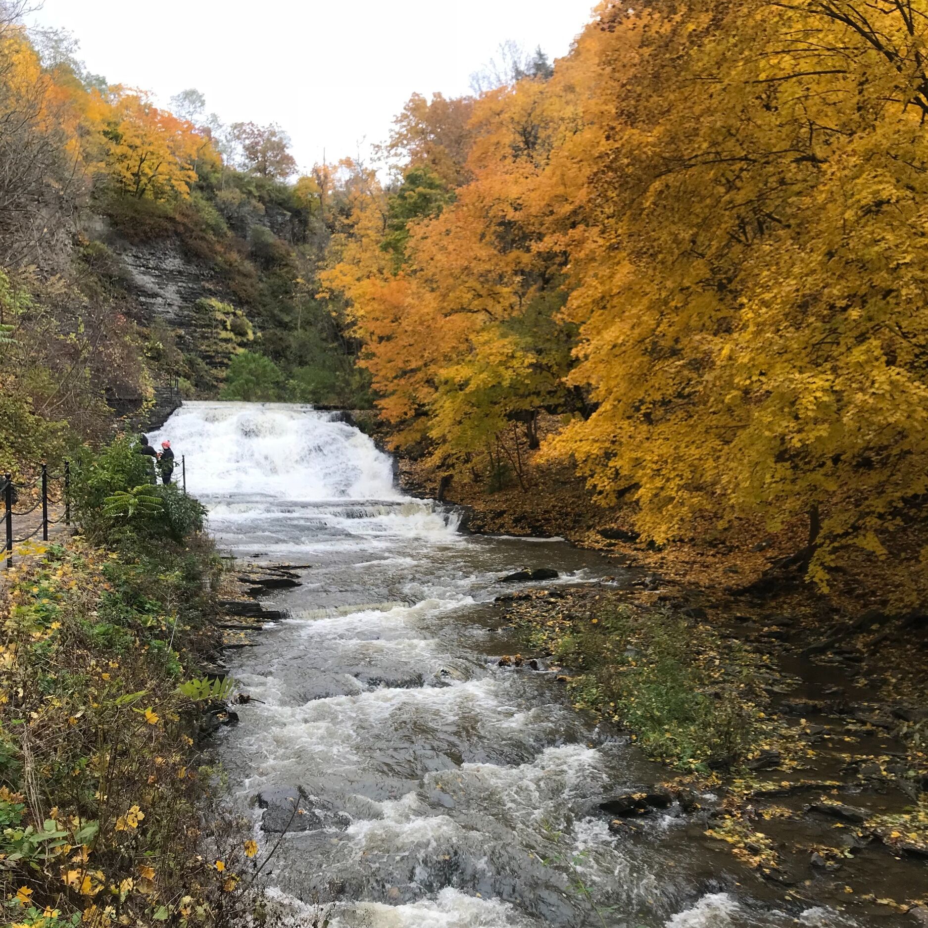 Picture of Cascadilla Gorge Trail