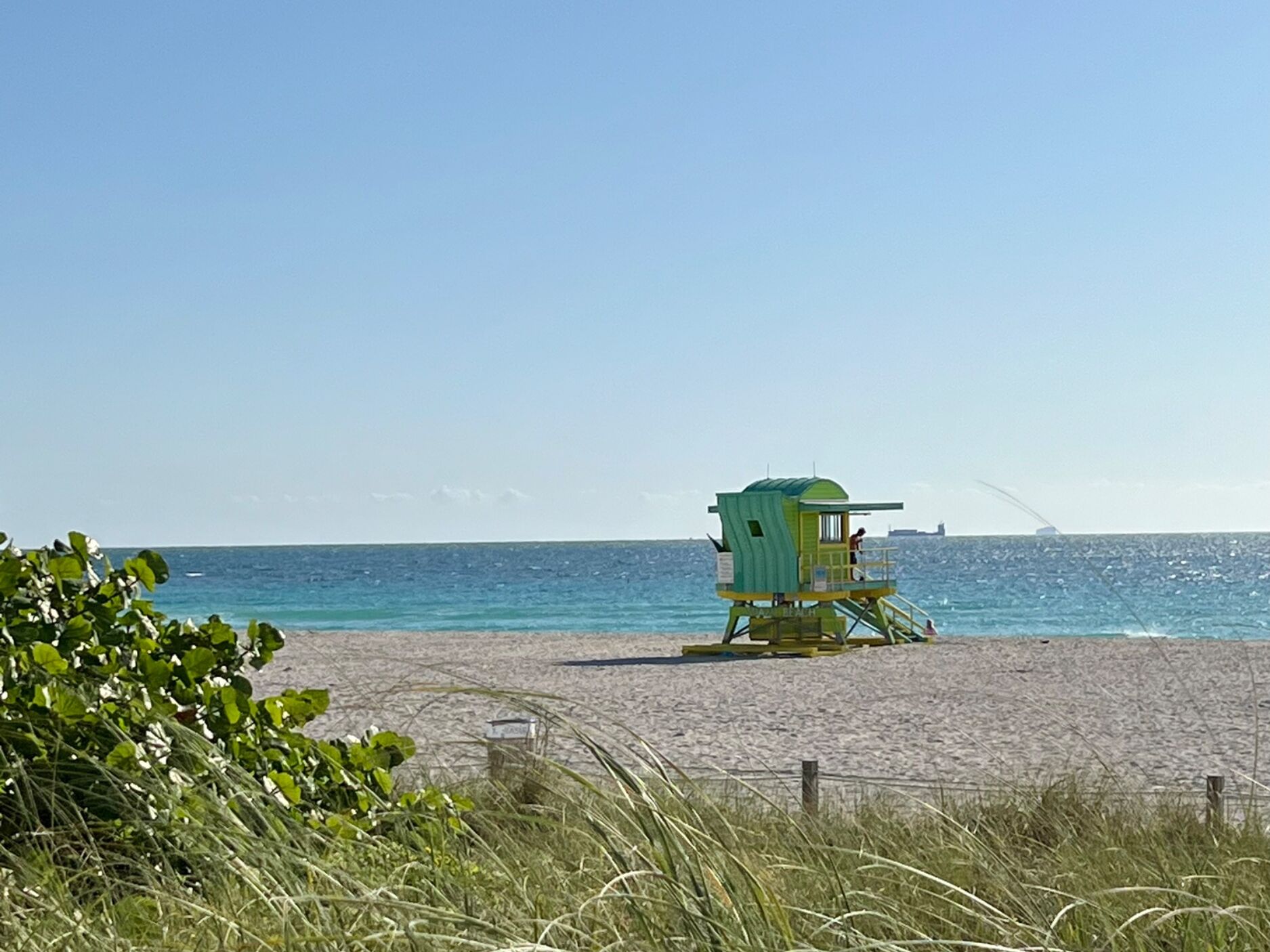 Picture of Miami Beach