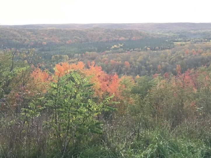 Picture of Deadman's Hill Overlook