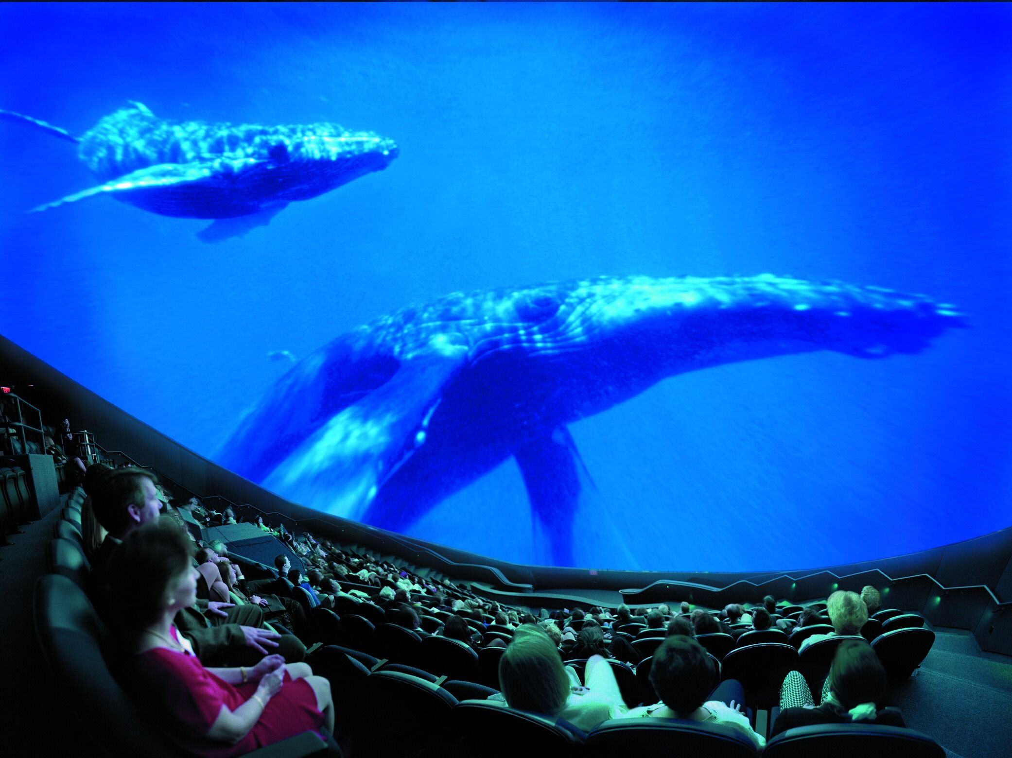 Picture of Orlando Science Center