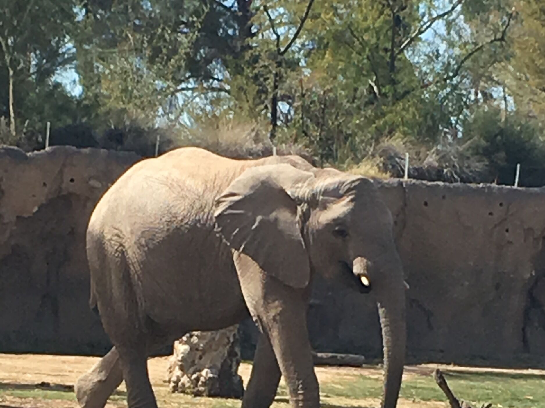 Picture of Reid Park Zoo