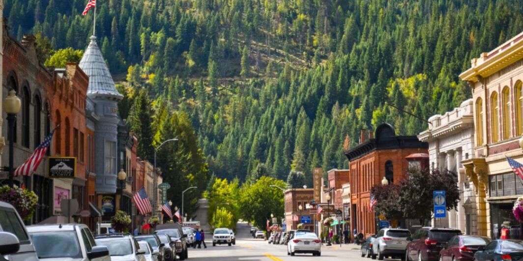 Picture of Wallace ID