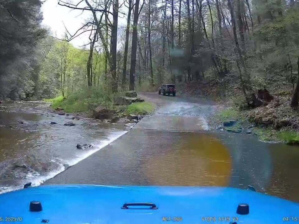 Picture of Fishing Creek Nature Preserve