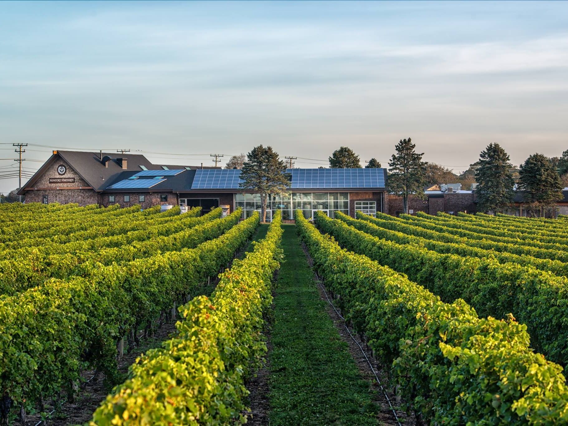 Picture of Newport Vineyards