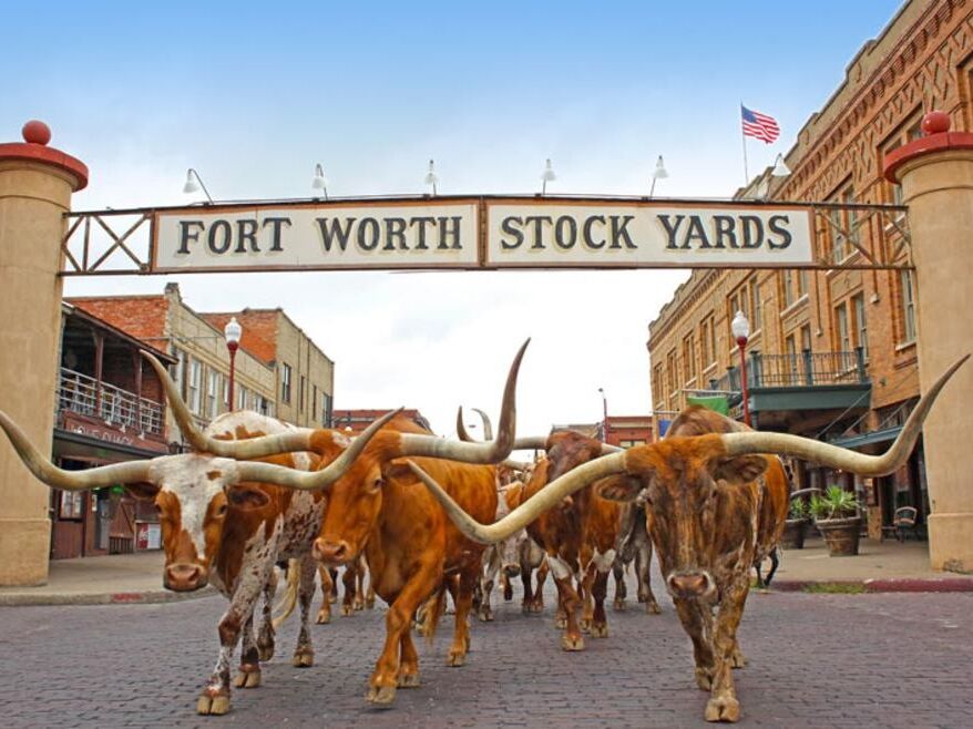 Picture of The Stockyards