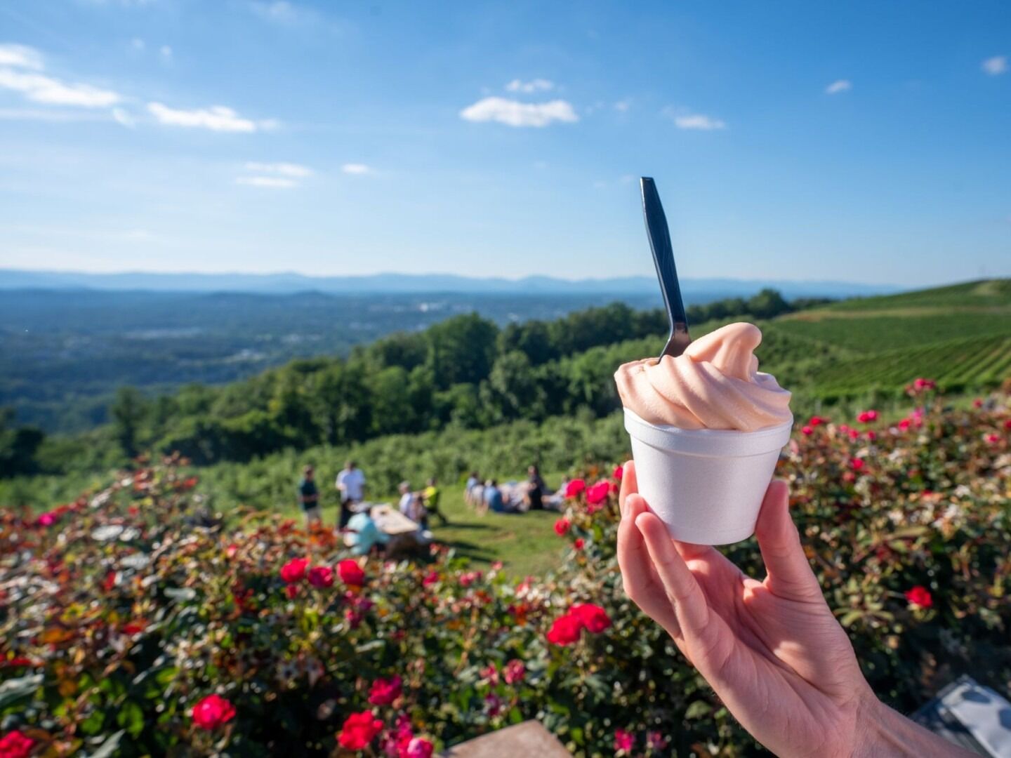 Picture of Carter Mountain Orchard