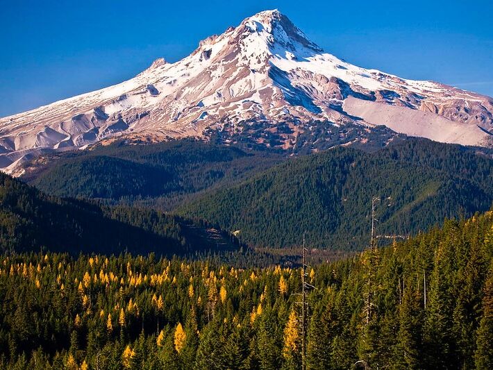 Picture of Mount Hood National Forest