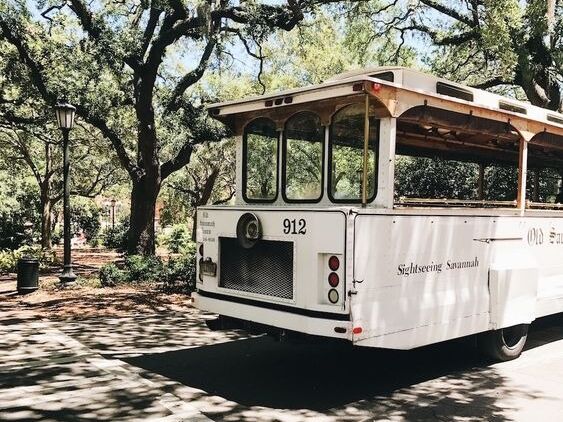 Picture of Old Savannah Tours