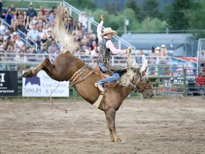 Picture of Jackson Hole Rodeo