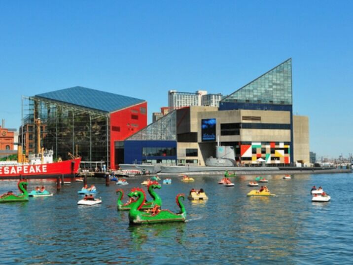 Picture of National Aquarium