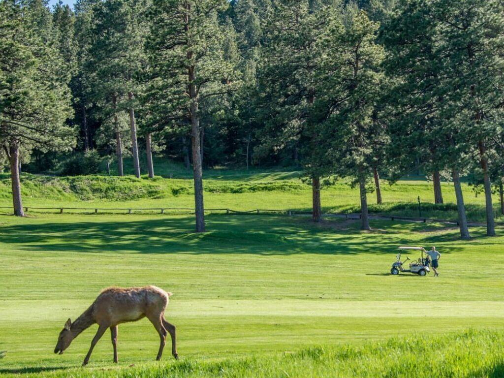 Picture of Evergreen Golf Course