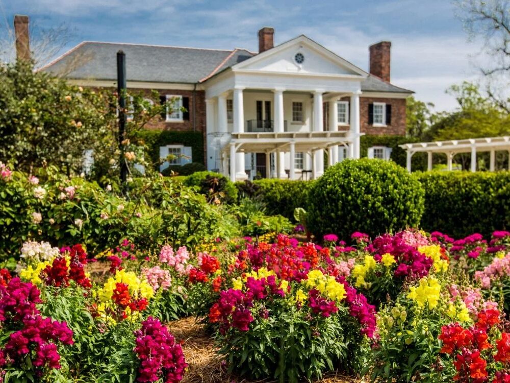 Picture of Boone Hall Plantation & Gardens