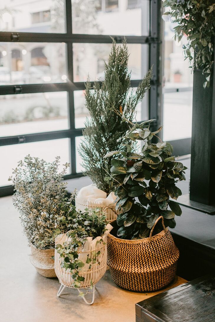 Modern Plant Decorations in Mismatched Baskets