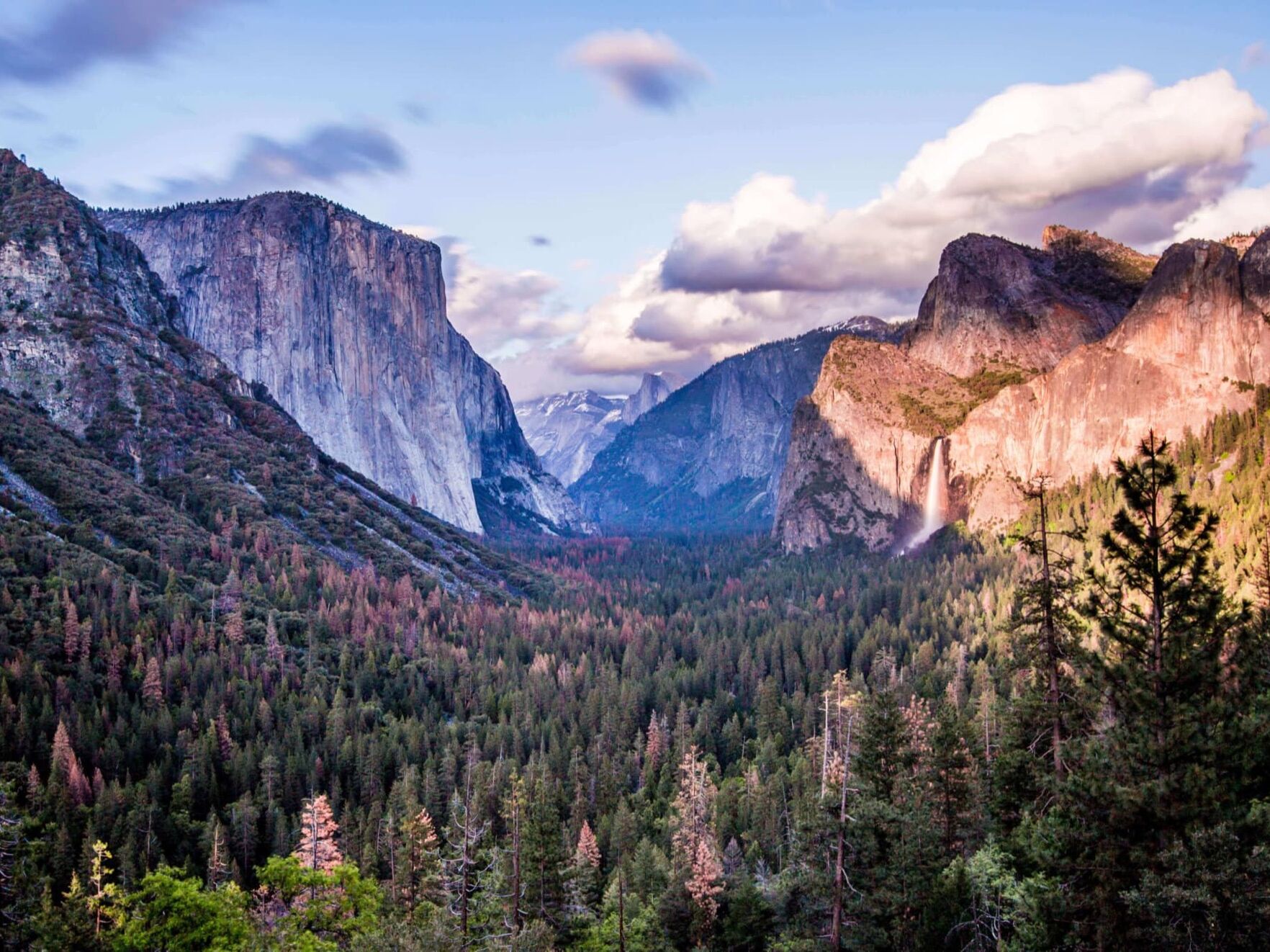 Picture of Yosemite National Park