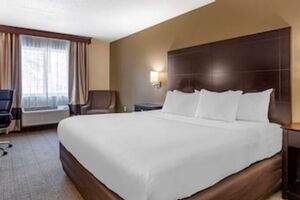 Picture of Comfort Inn&Suites Paw Paw