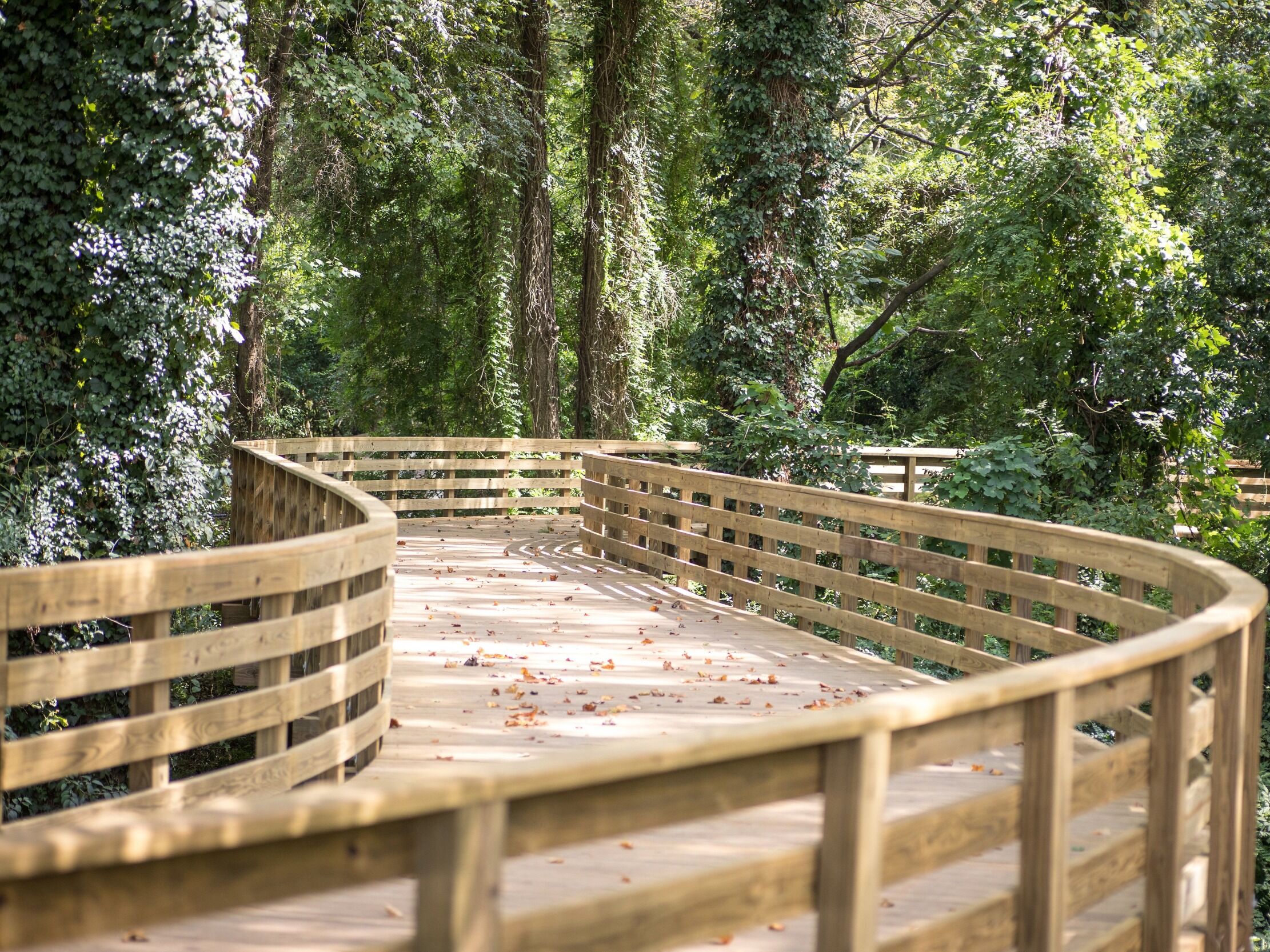 Picture of The Thread Trail