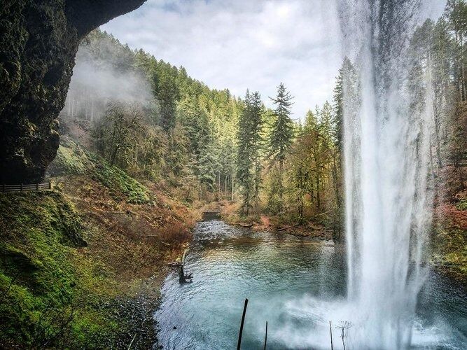 Picture of Silver Falls State Park